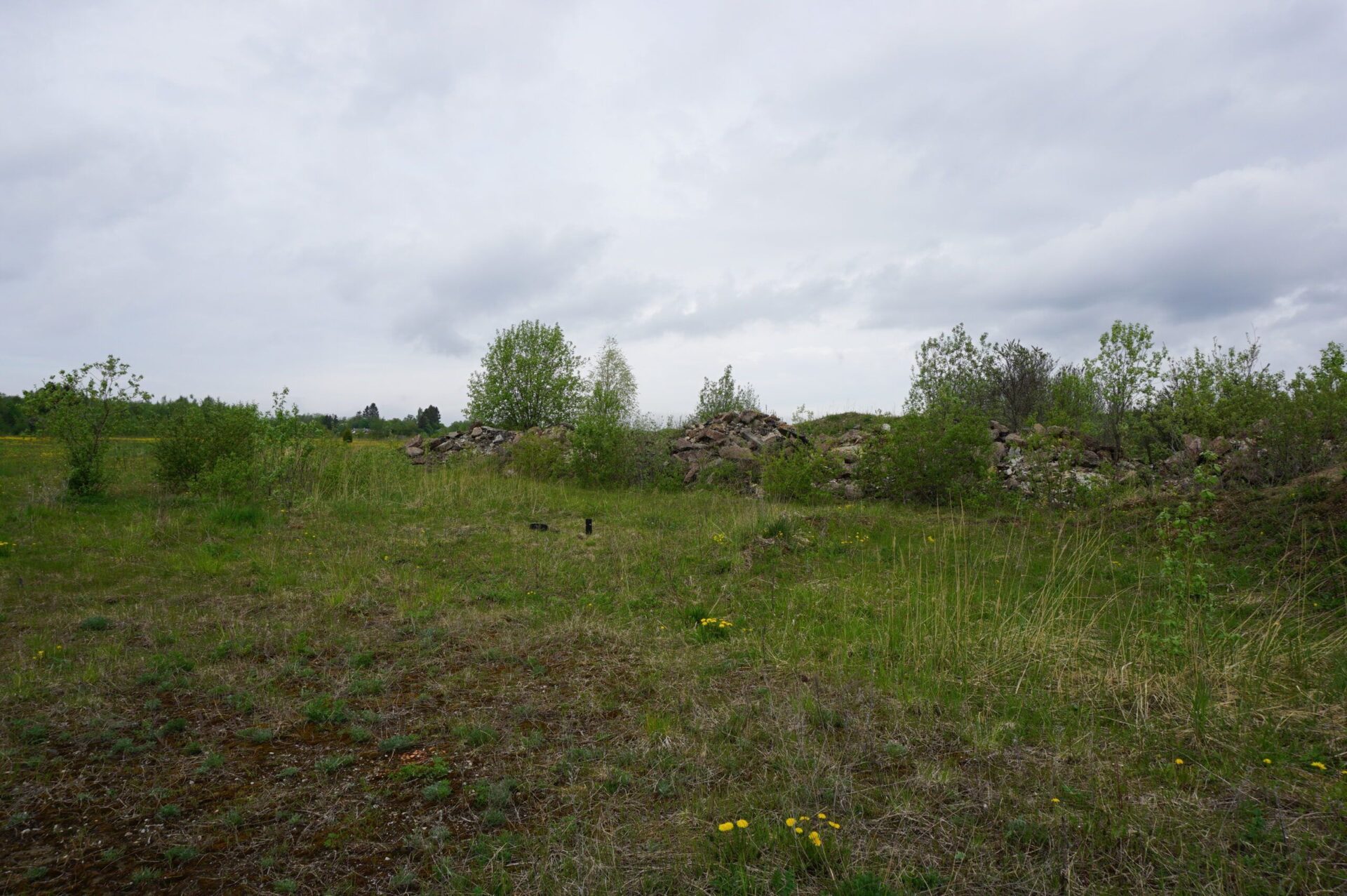 DSC02792-scaled-1