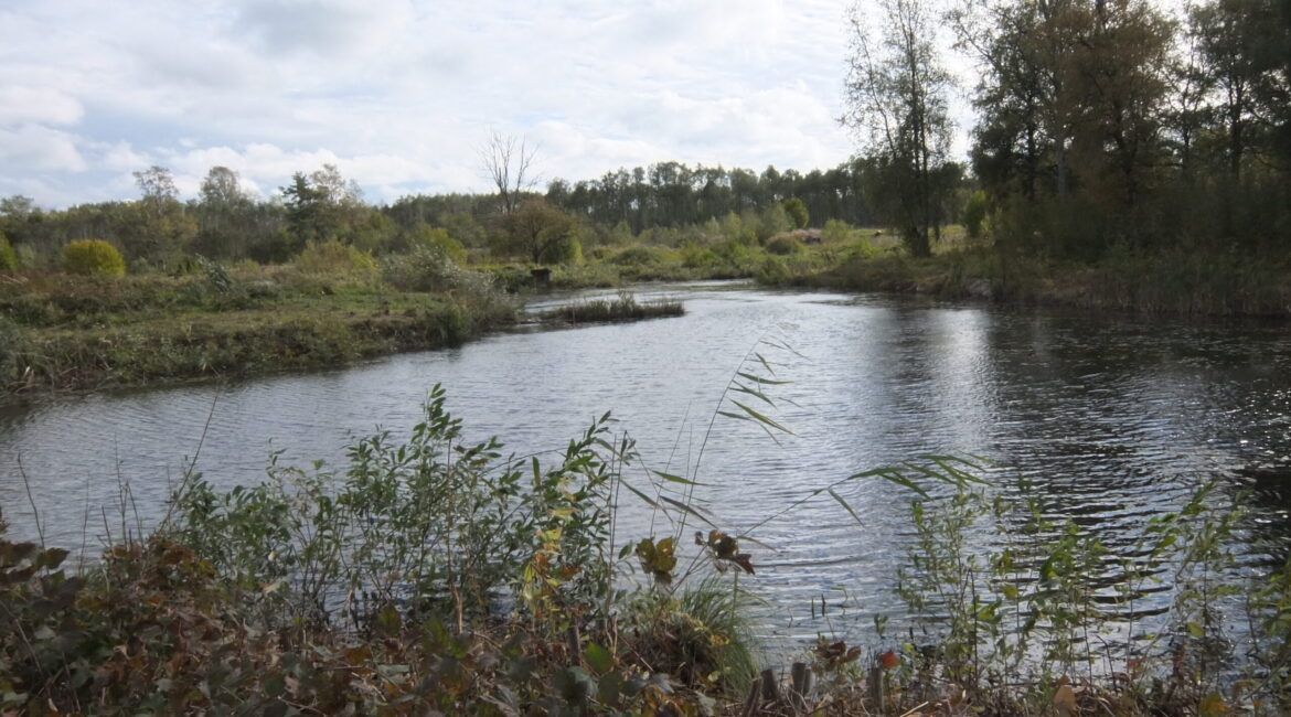 Estonia, Räägusilla põik 15, Rae, Rae vald, Harjumaa